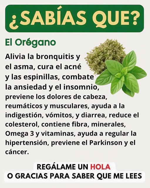 El Orégano: Un Poderoso Aliado Natural para Combatir 15 Problemas de